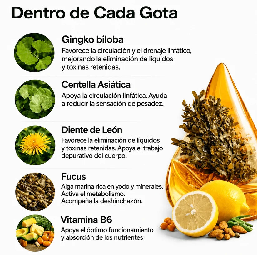 CelluDrops™ | Drena Naturalmente la Hinchazón del Rostro, Abdomen y Piernas